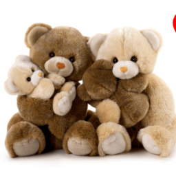 Valentine's Day special offer